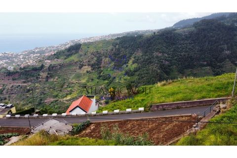 Helårsgrund i Ponta do Sol, Madeira, Ponta do Sol - € 120.000 | Ref: Wolf_016 - foto 7