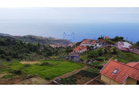 Helårsgrund i Ponta do Sol, Madeira, Ponta do Sol - € 120.000 | Ref: Wolf_016 - foto 8