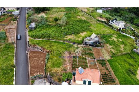 Helårsgrund i Ponta do Sol, Madeira, Ponta do Sol - € 120.000 | Ref: Wolf_016 - foto 14