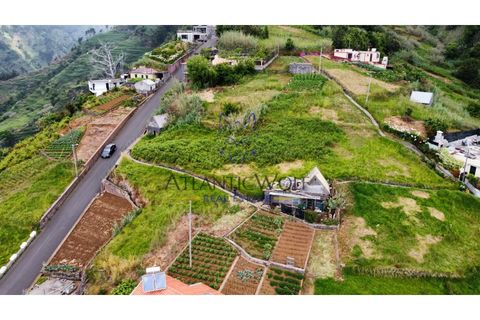 Helårsgrund i Ponta do Sol, Madeira, Ponta do Sol - € 120.000 | Ref: Wolf_016 - foto 17
