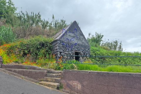 Helårsgrund i Ponta do Sol, Madeira, Ponta do Sol - € 120.000 | Ref: Wolf_016 - foto 18