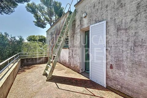 Villa i Antibes, Alpes-Maritimes, Antibes - € 2.000.000 | Ref: 86041704 - foto 6