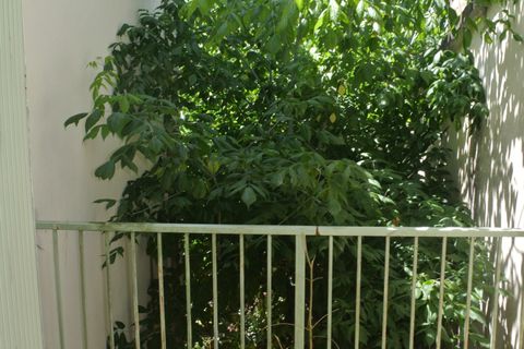 Villa i Marmande, Lot-et-Garonne, Marmande - € 117.700 | Ref: 4433 - foto 8
