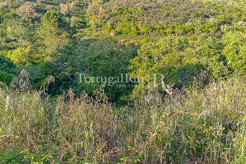 Helårsgrund i Bordeira, Faro, Bordeira - € 550.000 | Ref: PM389 - foto 3