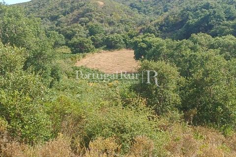 Helårsgrund i Bordeira, Faro, Bordeira - € 550.000 | Ref: PM389 - foto 4