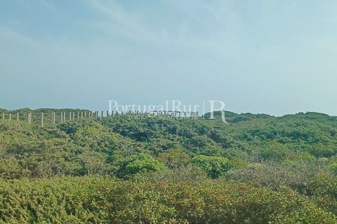 Helårsgrund i Bordeira, Faro, Bordeira - € 550.000 | Ref: PM389 - foto 5