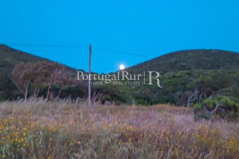 Helårsgrund i Bordeira, Faro, Bordeira - € 550.000 | Ref: PM389 - foto 16