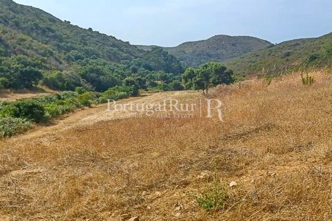 Helårsgrund i Bordeira, Faro, Bordeira - € 550.000 | Ref: PM389 - foto 17