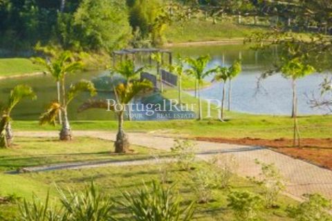 Helårsgrund i Bordeira, Faro, Bordeira - € 550.000 | Ref: PM389 - foto 19