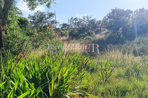 Helårsgrund i Bordeira, Faro, Bordeira - € 35.000 | Ref: PM326 - foto 1