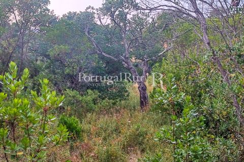 Helårsgrund i Bordeira, Faro, Bordeira - € 35.000 | Ref: PM326 - foto 2