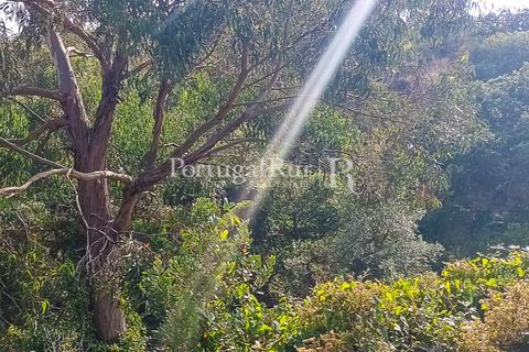Terra a Bordeira, Faro, Bordeira - € 65.000 | Ref: PM646 - foto 2