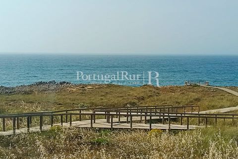 Terra a Bordeira, Faro, Bordeira - € 65.000 | Ref: PM646 - foto 3