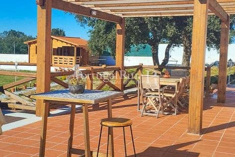 Farm i Nisa, Portalegre, Nisa - € 400.000 | Ref: ZR462 - foto 9