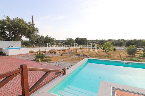 Farm i Nisa, Portalegre, Nisa - € 400.000 | Ref: ZR462 - foto 25