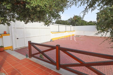 Farm i Nisa, Portalegre, Nisa - € 400.000 | Ref: ZR462 - foto 27