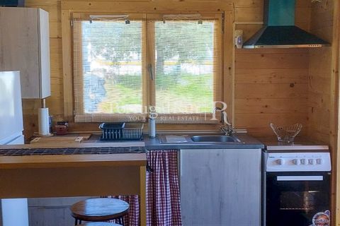 Farm i Nisa, Portalegre, Nisa - € 400.000 | Ref: ZR462 - foto 30