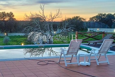 Farm i Nisa, Portalegre, Nisa - € 400.000 | Ref: ZR462 - foto 35