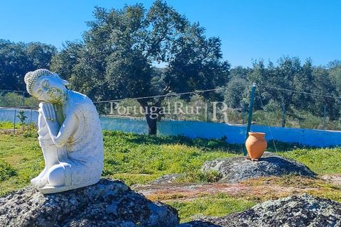 Farm i Nisa, Portalegre, Nisa - € 400.000 | Ref: ZR462 - foto 36