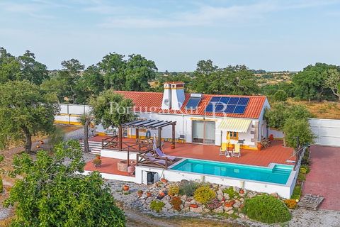 Farm i Nisa, Portalegre, Nisa - € 400.000 | Ref: ZR462 - foto 2