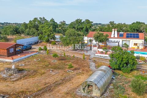 Farm i Nisa, Portalegre, Nisa - € 400.000 | Ref: ZR462 - foto 3