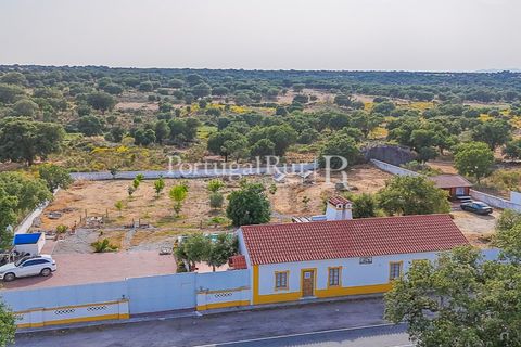 Farm i Nisa, Portalegre, Nisa - € 400.000 | Ref: ZR462 - foto 37