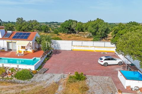 Farm i Nisa, Portalegre, Nisa - € 400.000 | Ref: ZR462 - foto 39