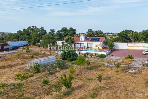 Farm i Nisa, Portalegre, Nisa - € 400.000 | Ref: ZR462 - foto 40