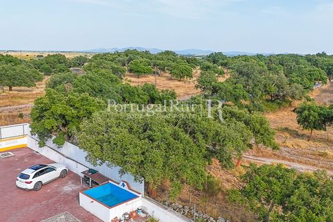 Farm i Nisa, Portalegre, Nisa - € 400.000 | Ref: ZR462 - foto 41