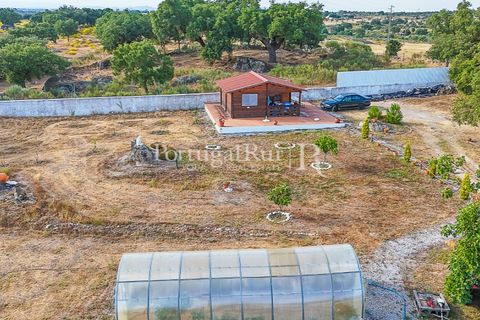 Farm i Nisa, Portalegre, Nisa - € 400.000 | Ref: ZR462 - foto 42