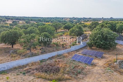 Farm i Nisa, Portalegre, Nisa - € 400.000 | Ref: ZR462 - foto 43