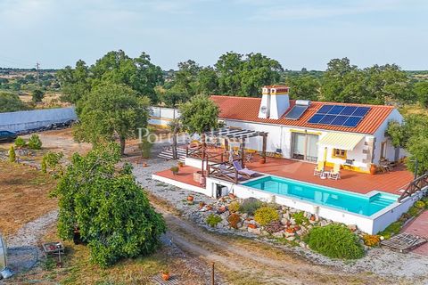 Farm i Nisa, Portalegre, Nisa - € 400.000 | Ref: ZR462 - foto 44