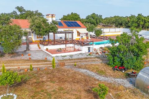 Farm i Nisa, Portalegre, Nisa - € 400.000 | Ref: ZR462 - foto 45