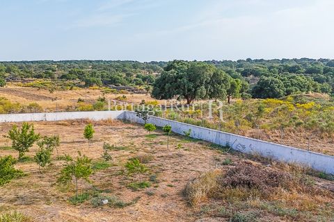 Farm i Nisa, Portalegre, Nisa - € 400.000 | Ref: ZR462 - foto 46