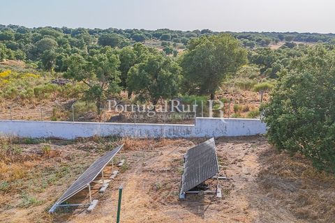 Farm i Nisa, Portalegre, Nisa - € 400.000 | Ref: ZR462 - foto 47