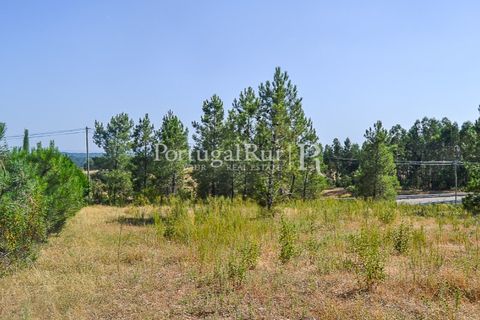 Helårsgrund i Proenca-a-Nova, Castelo Branco, Proenca-a-Nova - € 22.500 | Ref: SA1022 - foto 1