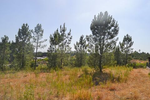 Helårsgrund i Proenca-a-Nova, Castelo Branco, Proenca-a-Nova - € 22.500 | Ref: SA1022 - foto 2