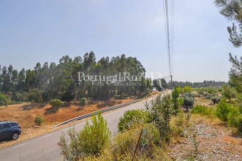 Helårsgrund i Proenca-a-Nova, Castelo Branco, Proenca-a-Nova - € 22.500 | Ref: SA1022 - foto 4
