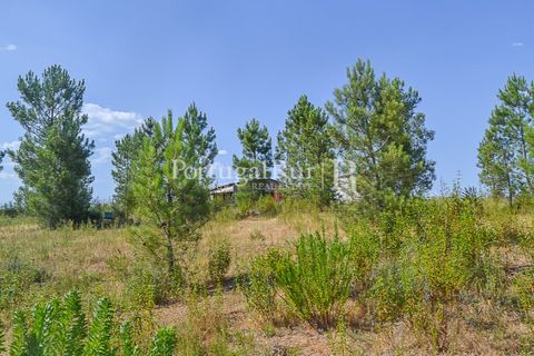 Helårsgrund i Proenca-a-Nova, Castelo Branco, Proenca-a-Nova - € 22.500 | Ref: SA1022 - foto 5