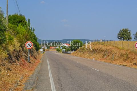 Helårsgrund i Proenca-a-Nova, Castelo Branco, Proenca-a-Nova - € 22.500 | Ref: SA1022 - foto 6