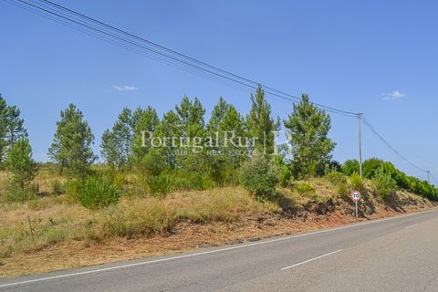 Helårsgrund i Proenca-a-Nova, Castelo Branco, Proenca-a-Nova - € 22.500 | Ref: SA1022 - foto 7