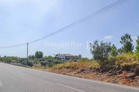 Helårsgrund i Proenca-a-Nova, Castelo Branco, Proenca-a-Nova - € 22.500 | Ref: SA1022 - foto 8