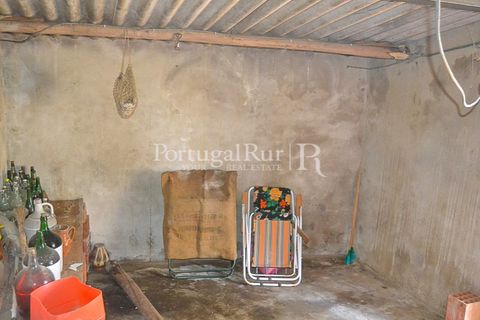 Landejendom i Macao, Santarem, Macao - € 72.500 | Ref: SA283 - foto 7