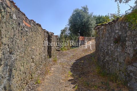 Landejendom i Macao, Santarem, Macao - € 72.500 | Ref: SA283 - foto 12