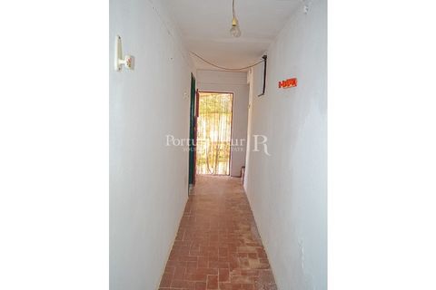 Landejendom i Macao, Santarem, Macao - € 72.500 | Ref: SA283 - foto 32