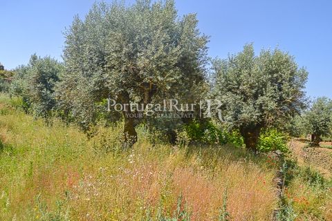 Landejendom i Macao, Santarem, Macao - € 72.500 | Ref: SA283 - foto 35