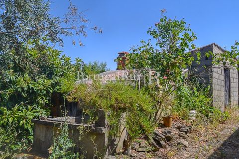 Landejendom i Macao, Santarem, Macao - € 72.500 | Ref: SA283 - foto 36