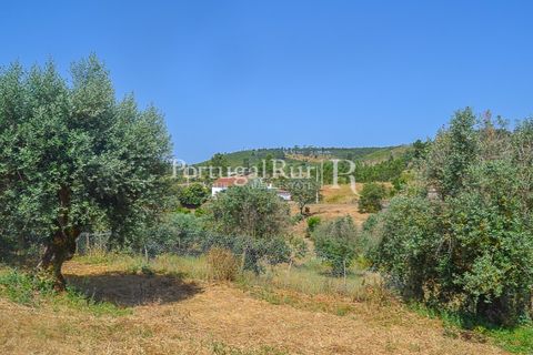 Landejendom i Macao, Santarem, Macao - € 72.500 | Ref: SA283 - foto 38