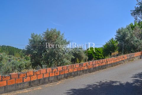 Landejendom i Macao, Santarem, Macao - € 72.500 | Ref: SA283 - foto 39