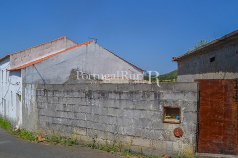Landejendom i Macao, Santarem, Macao - € 72.500 | Ref: SA283 - foto 40